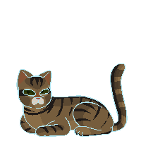 Black Stripe